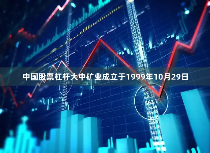 中国股票杠杆大中矿业成立于1999年10月29日